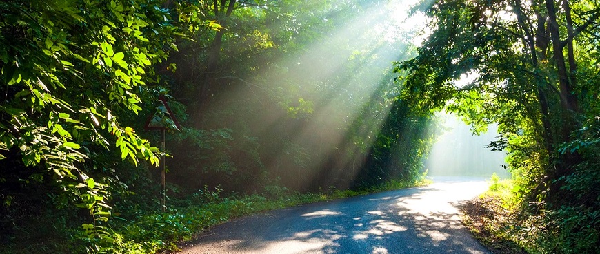 Day 7: Dandeli - Departure to Hubli / Hyderabad